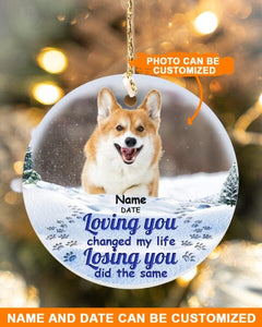 Custom Pet Memorial Ornament For Pet Lovers Loving You Changed My Life Christmas Ornament Blue M352  Friday89